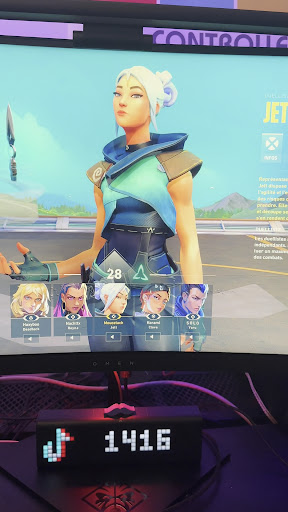 Photo from customer review